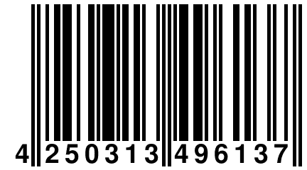 4 250313 496137