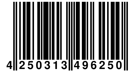 4 250313 496250