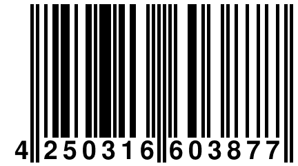 4 250316 603877