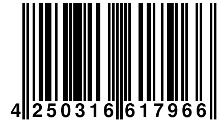 4 250316 617966