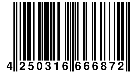 4 250316 666872