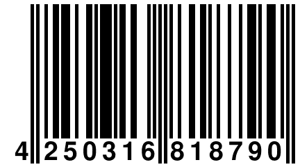 4 250316 818790