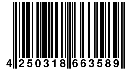 4 250318 663589