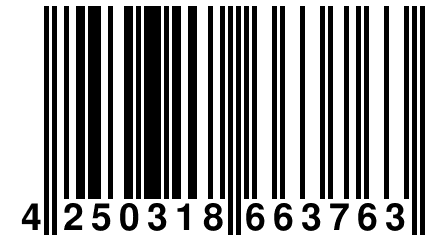 4 250318 663763