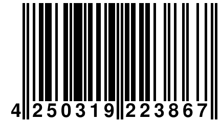 4 250319 223867