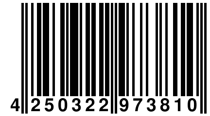 4 250322 973810