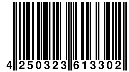 4 250323 613302