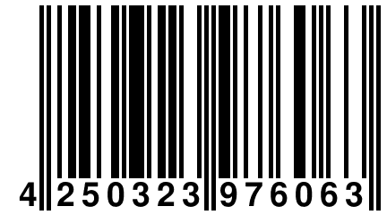 4 250323 976063