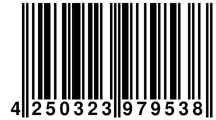 4 250323 979538