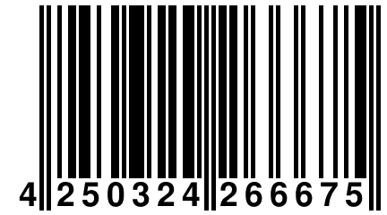 4 250324 266675