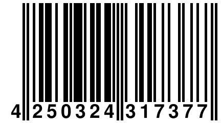 4 250324 317377