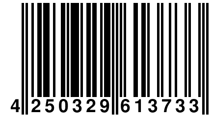 4 250329 613733