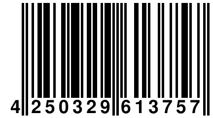 4 250329 613757