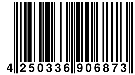 4 250336 906873