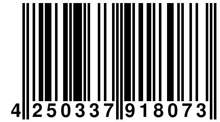 4 250337 918073