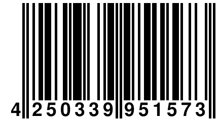 4 250339 951573