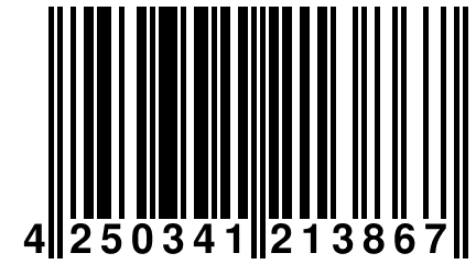 4 250341 213867