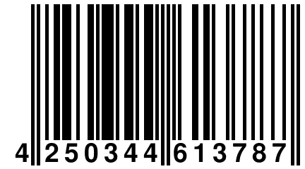 4 250344 613787