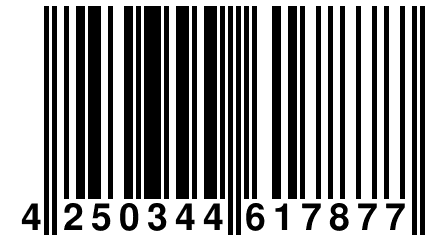 4 250344 617877