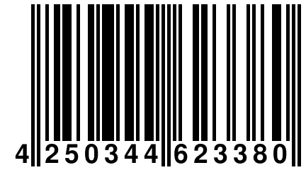 4 250344 623380