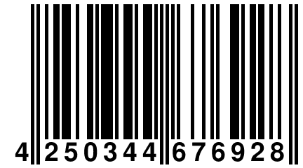 4 250344 676928