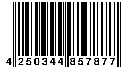 4 250344 857877