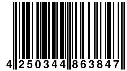 4 250344 863847