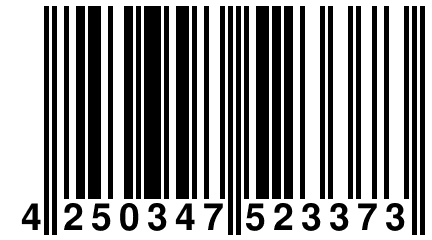 4 250347 523373