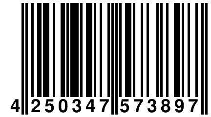 4 250347 573897