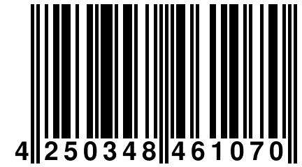 4 250348 461070