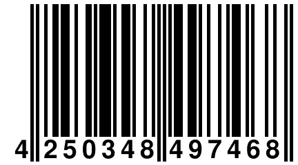 4 250348 497468