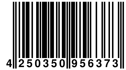 4 250350 956373