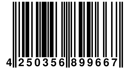 4 250356 899667