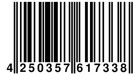 4 250357 617338