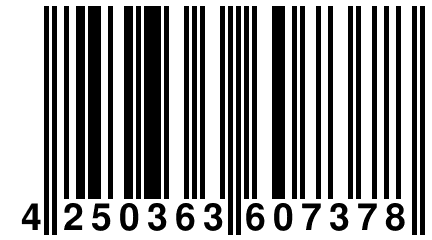 4 250363 607378