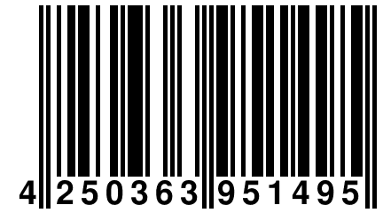 4 250363 951495