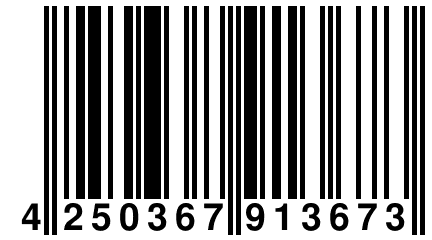 4 250367 913673