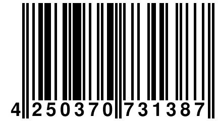 4 250370 731387