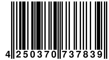 4 250370 737839