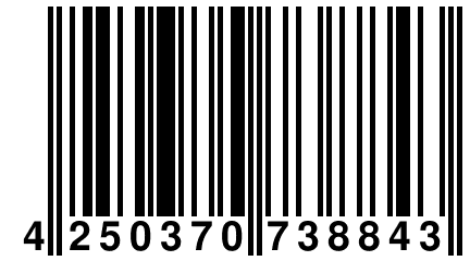 4 250370 738843