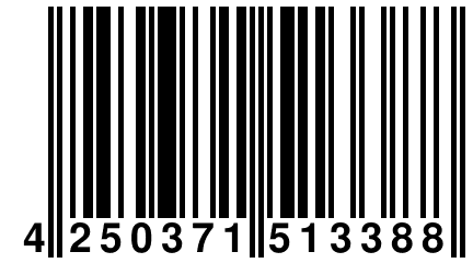 4 250371 513388