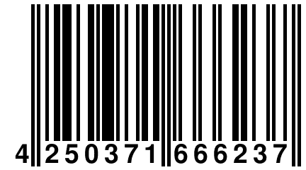 4 250371 666237