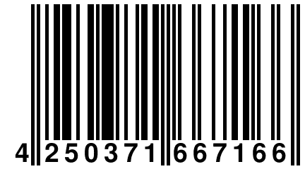 4 250371 667166