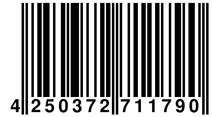 4 250372 711790