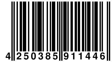 4 250385 911446