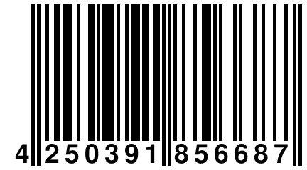 4 250391 856687