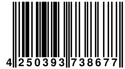 4 250393 738677