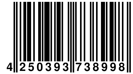 4 250393 738998