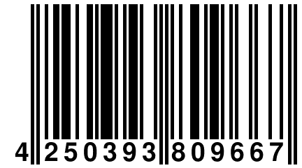 4 250393 809667