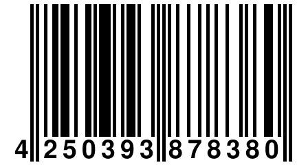 4 250393 878380